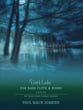Dark Lake Bass Flute and Piano cover